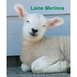 KING OF DREAMS Super Deluxe 90x200 + Oreiller à Mémoire De Forme OFFERT Valeur 89 Û -Matelas Soldes Boutique 14286772 4