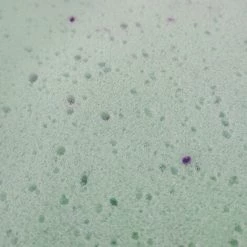 OLYMPE LITERIE | Matelas ZEUS 140x200 Cm | Mousse à Mémoire De Forme | Soutien Mi-Ferme 9 OLYMPE LITERIE | Matelas ZEUS 140x200 Cm | Mousse à Mémoire De Forme | Soutien Mi-Ferme -Matelas Soldes Boutique 19375150 5