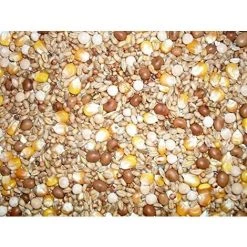 MAISANGE Johnston & Jeff Quatre Saisons General Economy Pigeon De Melange De Graines, 20 Kg