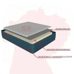 Matelas Ergonomique 140x190 H19 - JOLIE Ergo Batflex - Mousse Ergonomique - 3D Aération - Ferme - Orthopédique - Respirant - Hypoallergénique - La Couleur Peut Changer - La Couleur Peut Changer 7 Matelas Ergonomique 140x190 H19 - JOLIE Ergo Batflex - Mousse Ergonomique - 3D Aération - Ferme - Orthopédique - Respirant - Hypoallergénique - La Couleur Peut Changer - La Couleur Peut Changer -Matelas Soldes Boutique 35984639 3