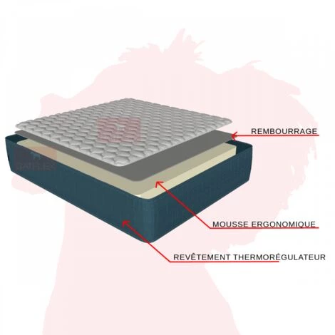 Matelas Ergonomique 140x190 H19 - JOLIE Ergo Batflex - Mousse Ergonomique - 3D Aération - Ferme - Orthopédique - Respirant - Hypoallergénique - La Couleur Peut Changer - La Couleur Peut Changer 3 Matelas Ergonomique 140x190 H19 - JOLIE Ergo Batflex - Mousse Ergonomique - 3D Aération - Ferme - Orthopédique - Respirant - Hypoallergénique - La Couleur Peut Changer - La Couleur Peut Changer – Image 3