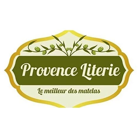 PROVENCE LITERIE Lot De 2 Matelas Ferme Mémoire De Forme 60 Kg/m3 Pour Canapé Lit 90x200 X 14 Cm - 5 Zones De Confort - Ame Poli Lattex Haute Résilience HD - Hypoallergénique 2 PROVENCE LITERIE Lot De 2 Matelas Ferme Mémoire De Forme 60 Kg/m3 Pour Canapé Lit 90x200 X 14 Cm - 5 Zones De Confort - Ame Poli Lattex Haute Résilience HD - Hypoallergénique – Image 2