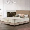 Matelas LUXURY 70x190 Mousse à Mémoire De Forme HD | Très épais 25 Cm | Accueil Latex + HR | 7 Zones Grand Confort | NATURALEX - Blanc
